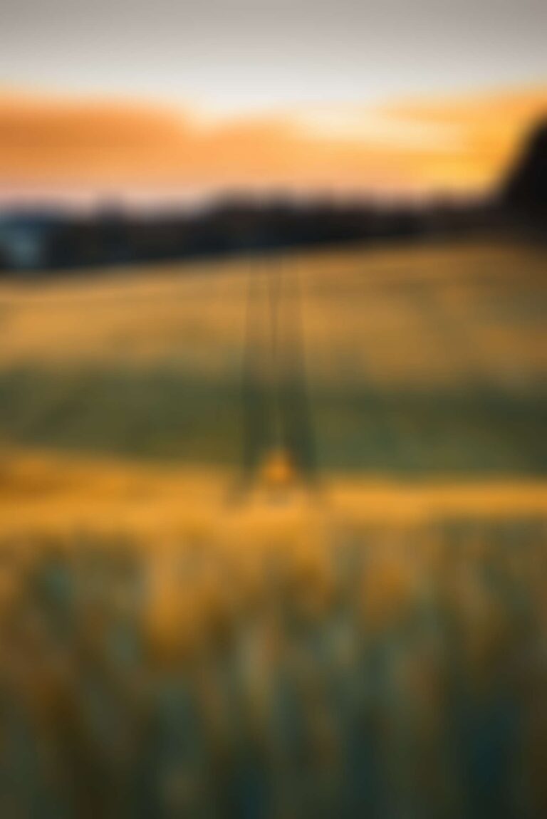 ""/